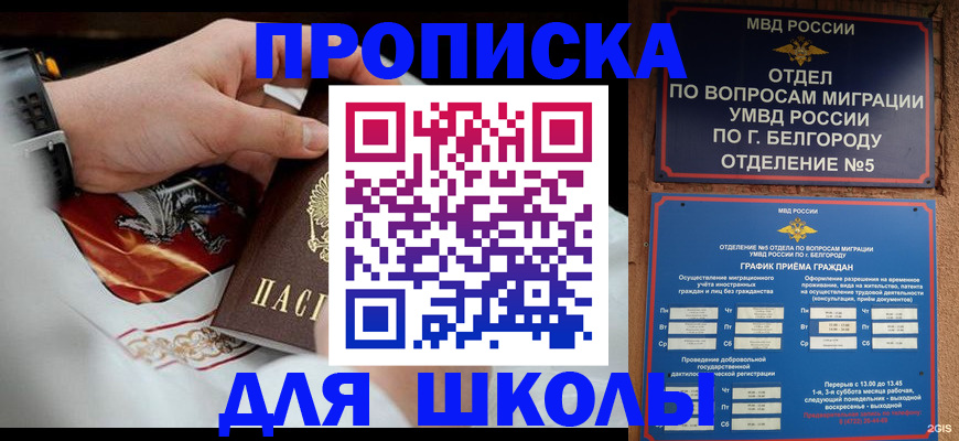 пропишу в квартире в Ленинградской области